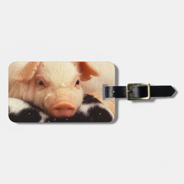 Lat Piglet Bagagebricka (Horisontell Framsida)