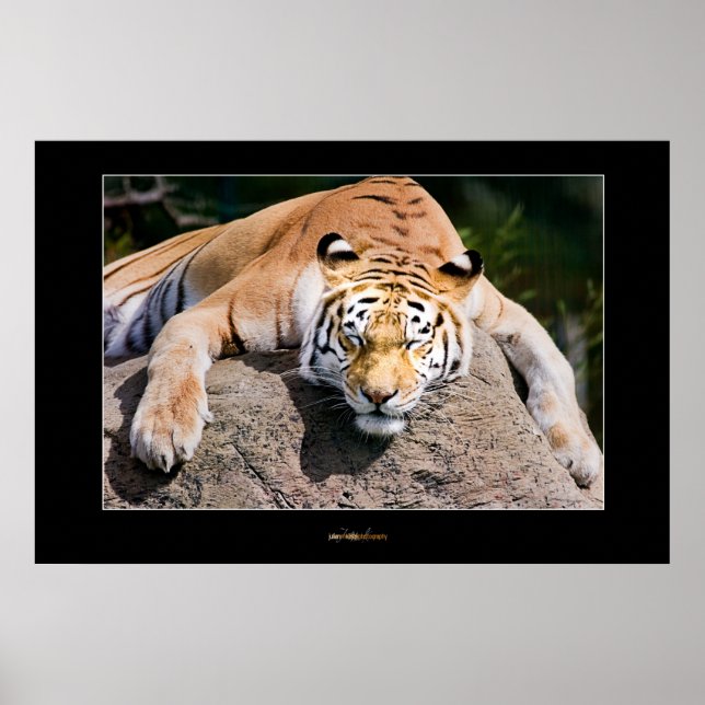 Låt sömntarna Ljuga Poster (Framsidan)