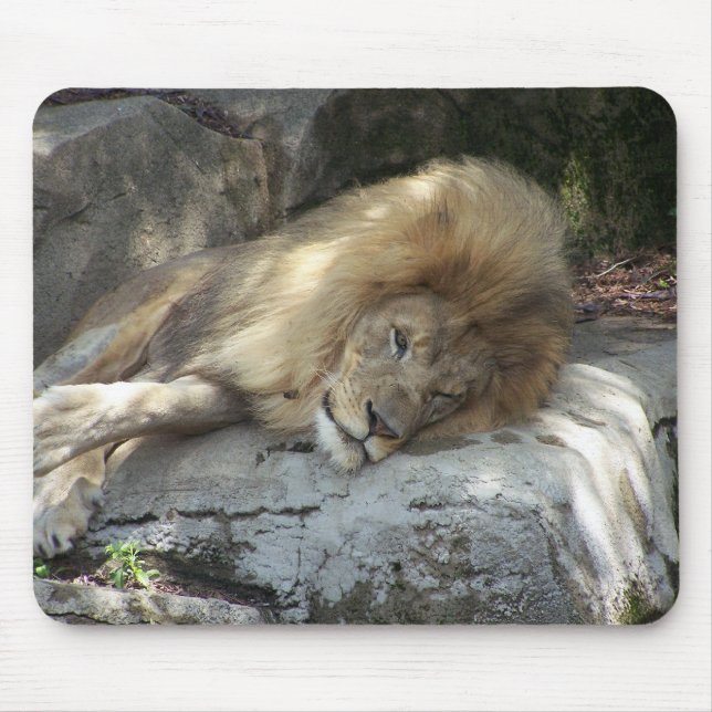 Lata dagar musmatta (Framsidan)