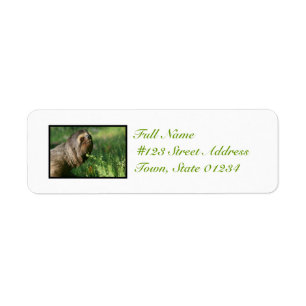 Lata Slothbrevskickandeetiketter Returadress Etikett