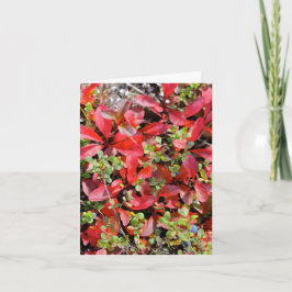 Late Summer in Alaska - 4" x 5.6" Notecard Kort