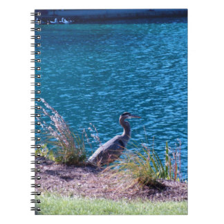 Låter färgerna vara dina vägleder anteckningsbok