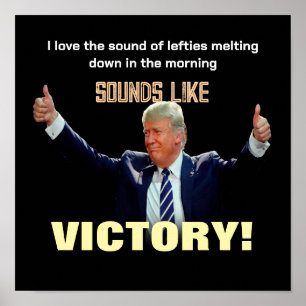 Låter som seger! poster