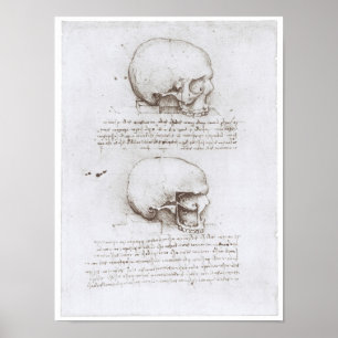 Lateralen beskådar av skallen, Leonardo Da Vinci Poster