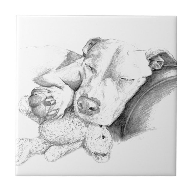 Låtet sova hundar ljuga kakelplatta (Framsidan)