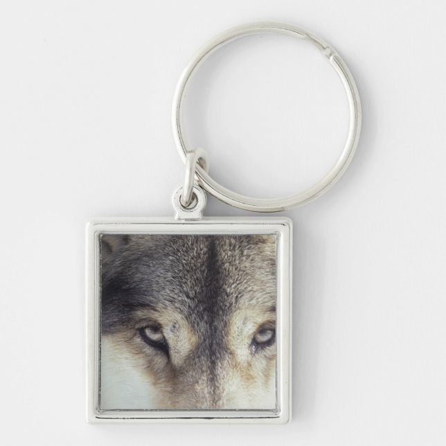 Latinnamn: CanisLupus Fyrkantig Silverfärgad Nyckelring (Framsidan)
