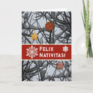 Latinsk julprydnad på Snowy Grenar Helgkort