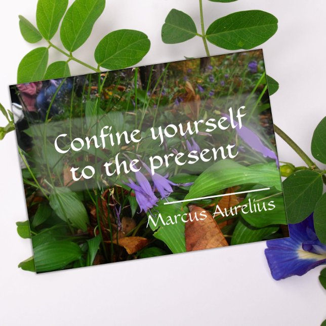 Latinsk visdom citerar greenery poster (Skapare uppladdad)