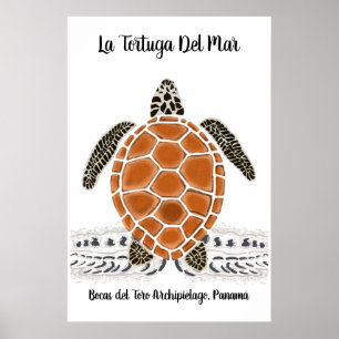 Latortuga den Del Mar - hav sköldpaddaaffischen Poster