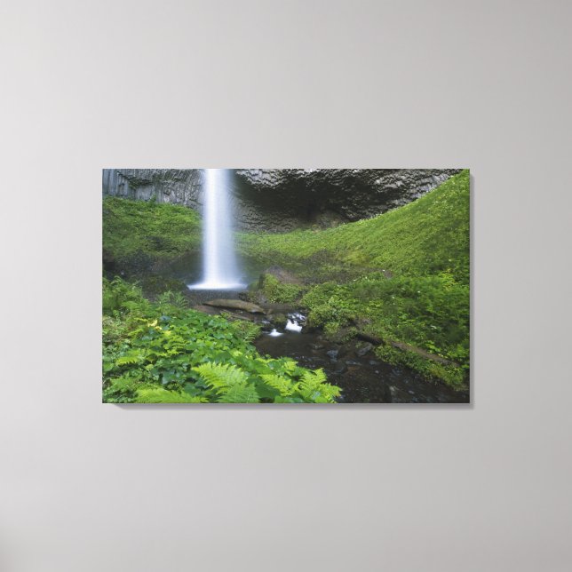 Latourell Falls, Columbia River Gorge, Oregon, Canvastryck (Framsida)