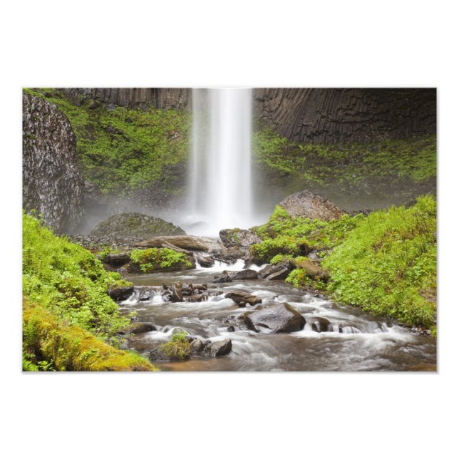 Latourell Falls, Columbia River Gorge, Oregon, Fototryck (Framsidan)
