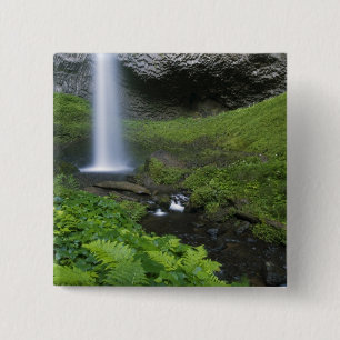 Latourell Falls, Columbia River Gorge, Oregon, Knapp