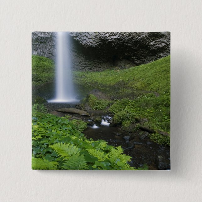 Latourell Falls, Columbia River Gorge, Oregon Knapp (Framsida)