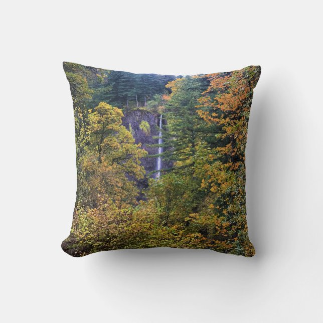 Latourell Falls, Columbia River Gorge, Oregon Kudde (Framsida)