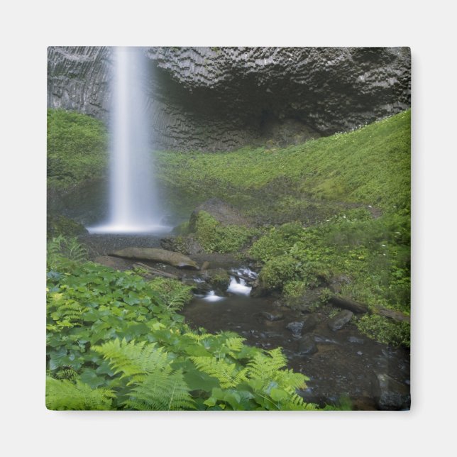 Latourell Falls, Columbia River Gorge, Oregon Magnet (Framsidan)