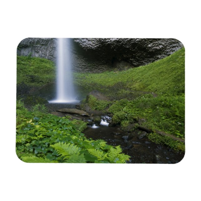 Latourell Falls, Columbia River Gorge, Oregon, Magnet (Horisontell)