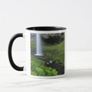 Latourell Falls, Columbia River Gorge, Oregon, Mugg