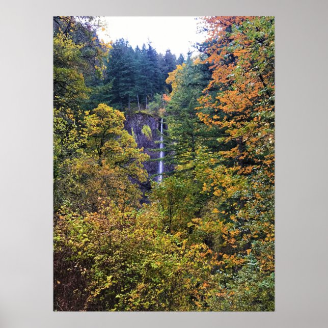 Latourell Falls, Columbia River Gorge, Oregon Poster (Framsidan)