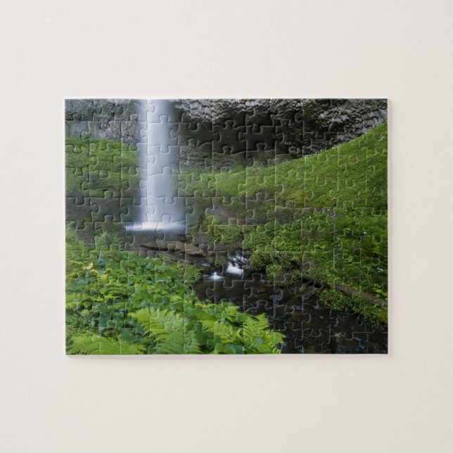 Latourell Falls, Columbia River Gorge, Oregon, Pussel (Horisontell)
