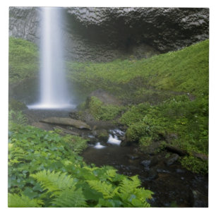 Latourell Falls, Columbiaflodens kanjon, Oregon, Kakelplatta