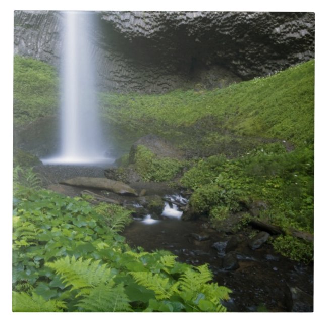 Latourell Falls, Columbiaflodens kanjon, Oregon, Kakelplatta (Framsidan)