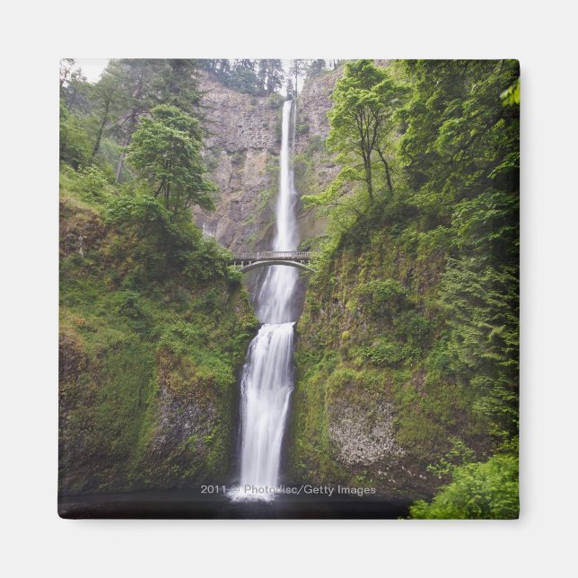 Latourell Falls och Bridge Columbia River Gorge Magnet (Framsidan)