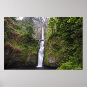 Latourell Falls och Bridge Columbia River Gorge Poster