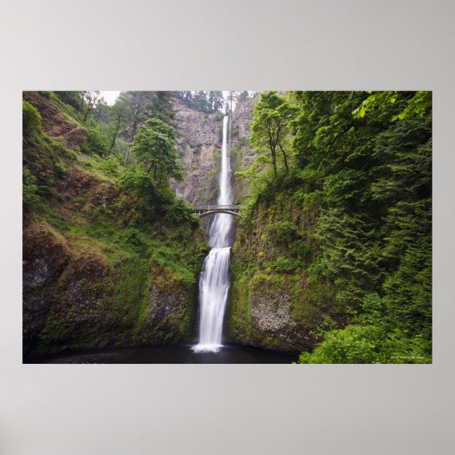 Latourell Falls och Bridge Columbia River Gorge Poster (Framsidan)