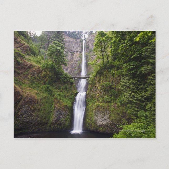 Latourell Falls och Bridge Columbia River Gorge Vykort (Framsida)