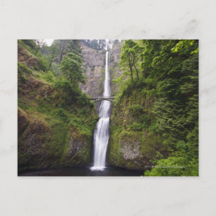 Latourell Falls och Bridge Columbia River Gorge Vykort