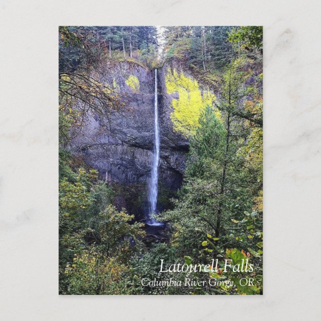 Latourell Falls, Oregon Helg Vykort (Framsida)