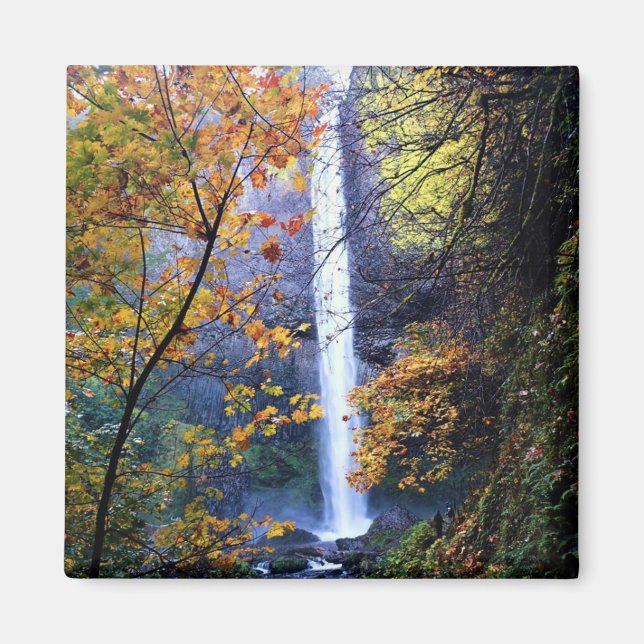 Latourell Falls, Oregon Magnet (Framsidan)