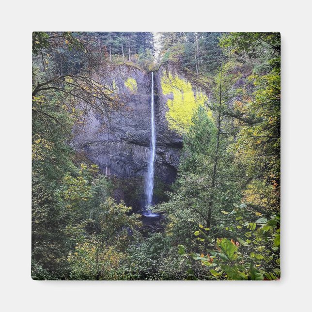 Latourell Falls, Oregon Magnet (Framsidan)