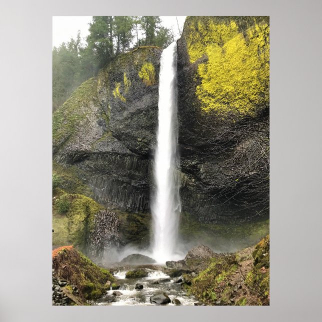 Latourell Falls, Oregon Poster (Framsidan)