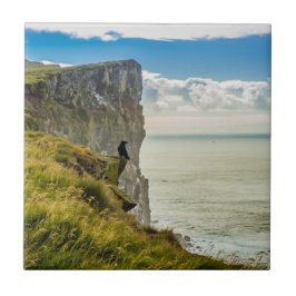 Latrabjarg Cliffs, Island Kakelplatta