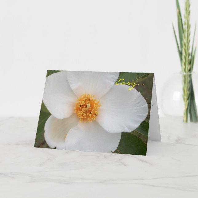 Lätt är kort (Framsida)