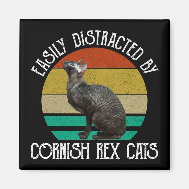 Lätt Distraherad Av Cornish Rex Katter Magnet (Framsidan)