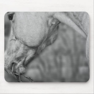 Lätt Dun Dapples - Mousepad Musmatta