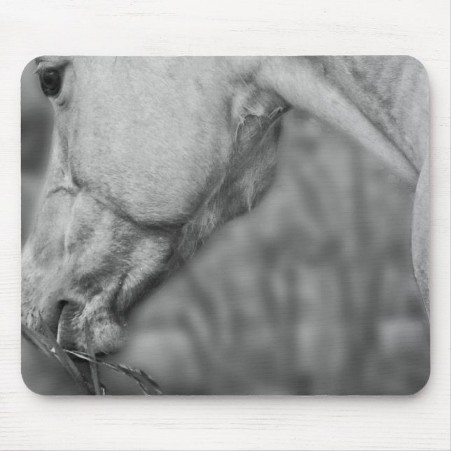 Lätt Dun Dapples - Mousepad Musmatta (Framsidan)