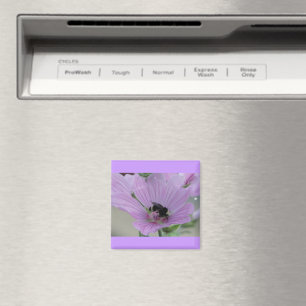 Lätt Lila blomma med bin Magnet