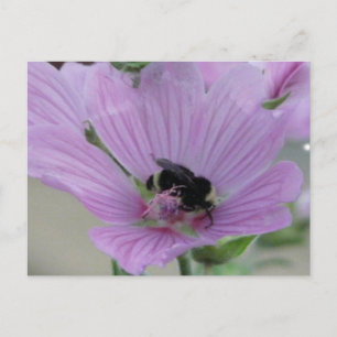 Lätt Lila blomma med bin Vykort