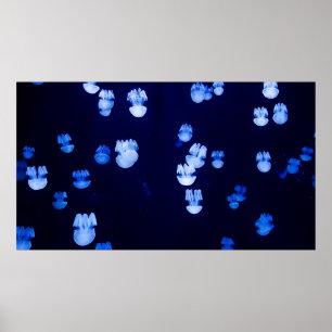 LÄTTA LANTERNER POSTER