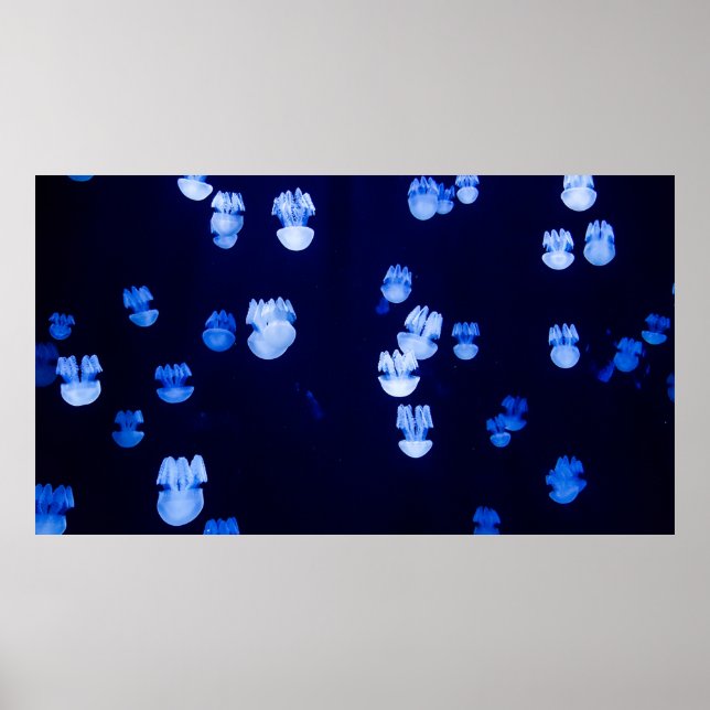 LÄTTA LANTERNER POSTER (Framsidan)