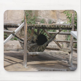 Lättare dag för björn musmatta