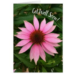 Lättare Lila - förmånligt kort - snart