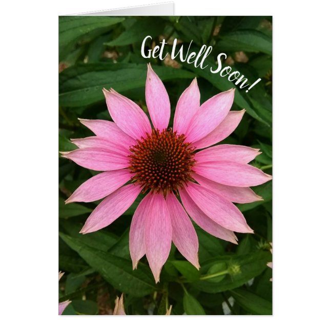 Lättare Lila - förmånligt kort - snart (Framsidan)