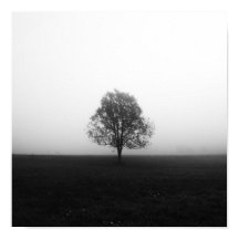 Lättare träd i dimsvart och vitt