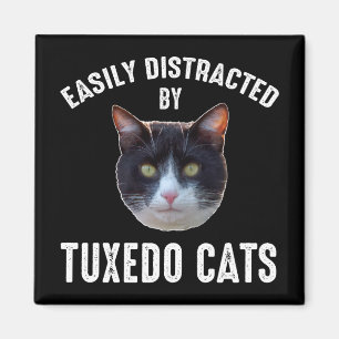 Lättdistraherat av Tuxedo-katter Magnet