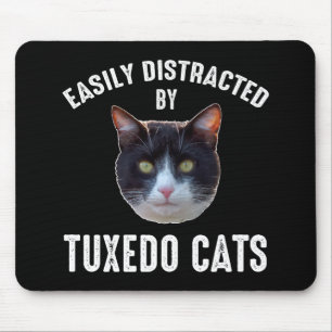 Lättdistraherat av Tuxedo-katter Musmatta