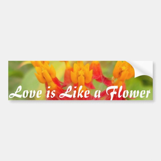 Lättfärgad Blommigt med Milkweed Art Print Bildekal (Framsidan)
